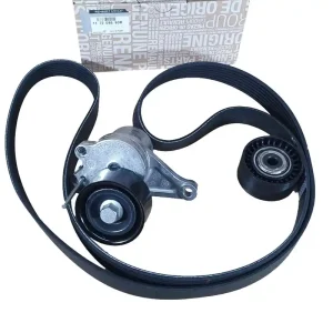 Nejlepší Volba Řemen Napínáku Pohonu Originál 117208680R Renault