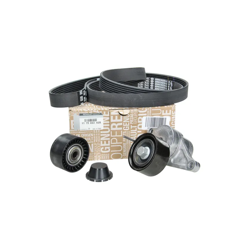 Odeslání Ihned Řemen Napínáku Pohonu Originál 117202245R Renault