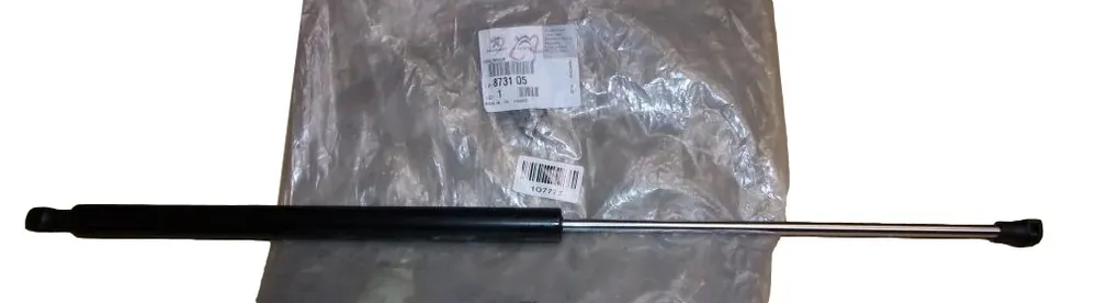 Výhodná Nabídka Vzpěra Skla Zadek Originál 8731Q5 8731.Q5 Peugeot