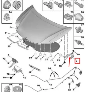 Panty Masky Pravý Nový originál 791279 7912.79 Citroen Značkový