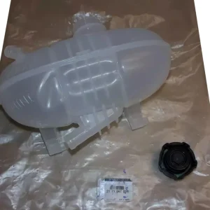 Nádržka Systému Chlazení Nový originál 217106703R Renault Akce