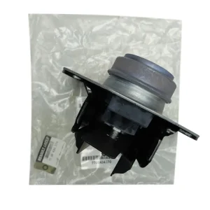 Akce Zavěšení Motoru Originál 7700434370 Renault