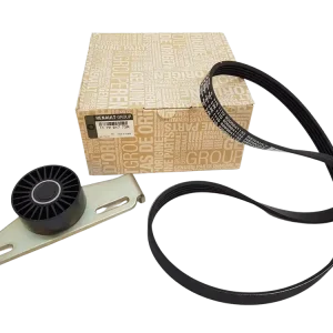 Expresní Doručení Řemen Originál 117201773R Renault Dacia 1.4 1.6