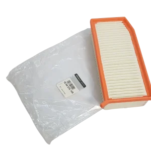 Filtr Vzduchu Originál Dacia Renault 165467674R Aktuální