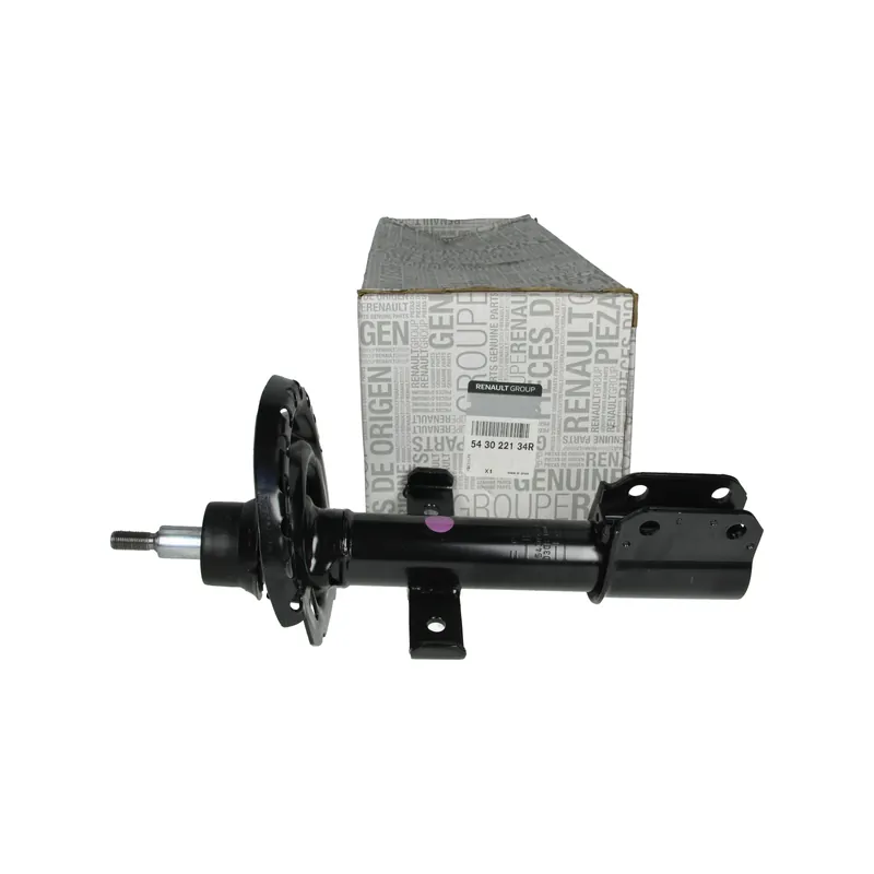 Cenově Výhodný Tlumič Předek Originál 543022134R Renault