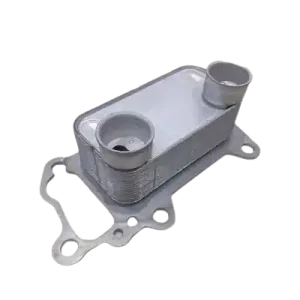 Chladič Oleje Pro BMW 11427802113 19642801 Vika Aktuální