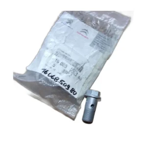 Ihned K Objednání Šroub Nový originál 1606850980 Citroen Peugeot