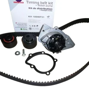Ihned K Objednání Řemen Napínáku Pohonu Pro Citroen Peugeot KH 189WP31 1609524880 Hutchinson