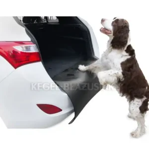 Kegel-Blazusiak 5-3205-244-4010 - Ochrana nárazníku Barry Cenově Výhodný