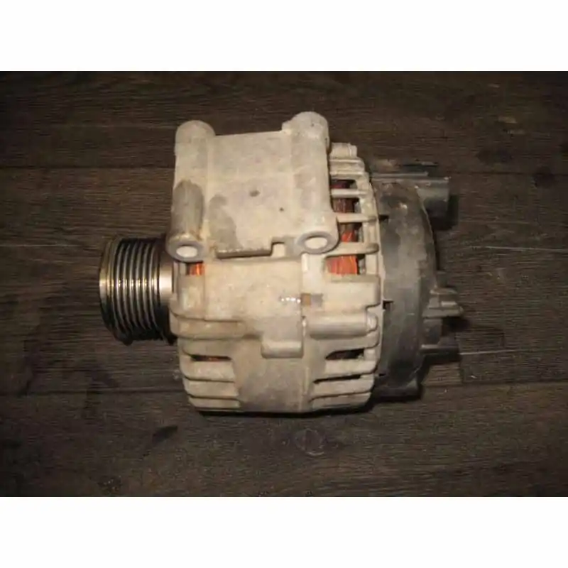 Objednat Nyní alternátor ŠKODA Kodiaq 565 2,0 TFSI06K903015B